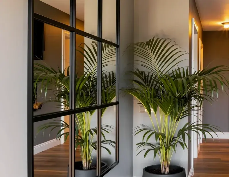 Summer Hallway Decor Ideas with Black Framed Window and Parlour Palm